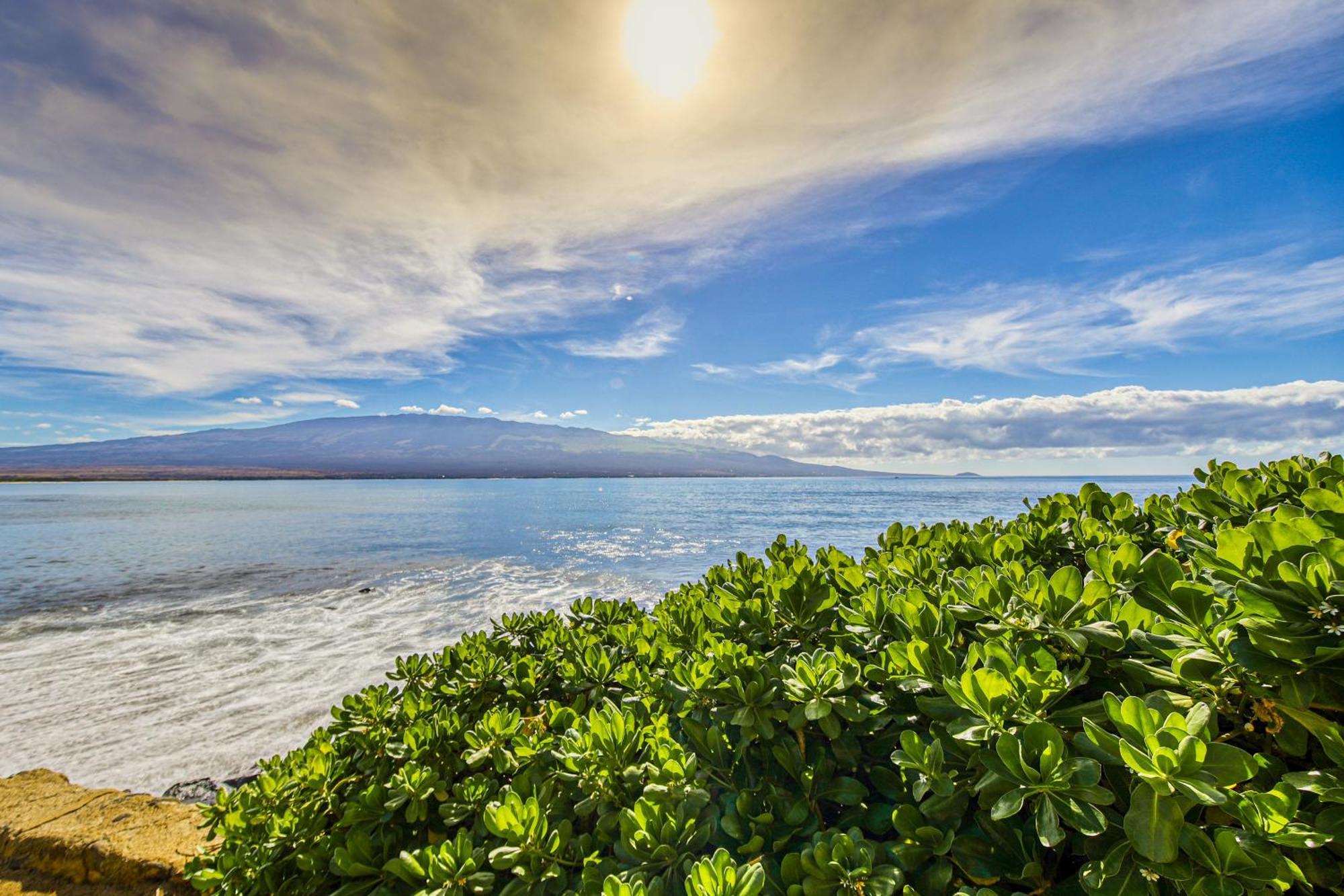 Island Sands Resort Wailuku Номер фото